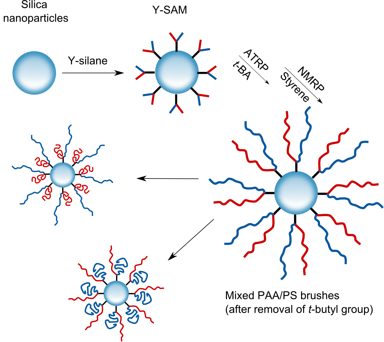ENVIS_635017909452856568_hair-nanoparticles.png