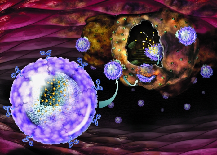 ENVIS_635017909529550811_targeted-nanoparticles.jpg